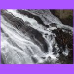 Gibbon Falls 2.jpg
